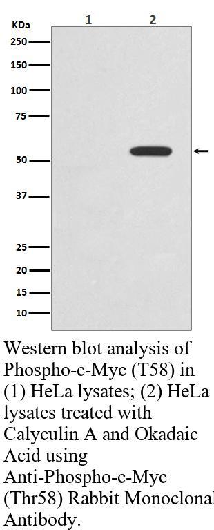 生物相关数据