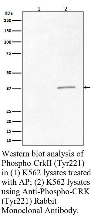 生物相关数据