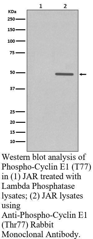 生物相关数据