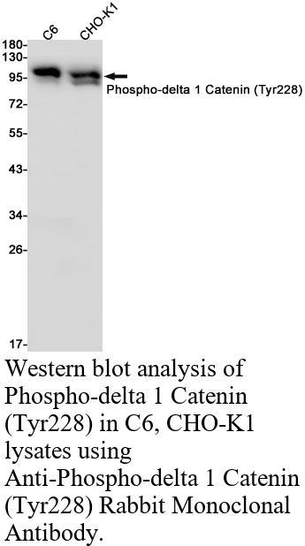 生物相关数据