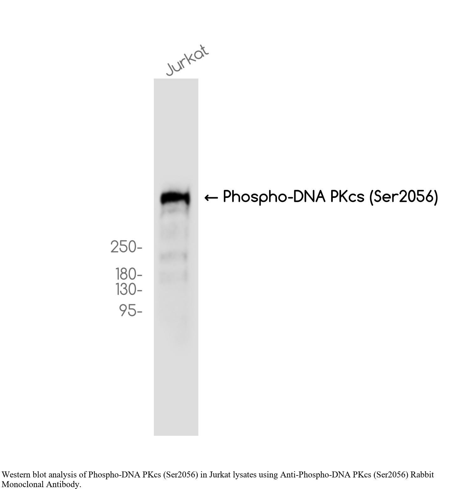 生物相关数据