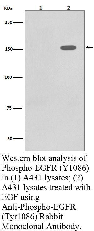 生物相关数据