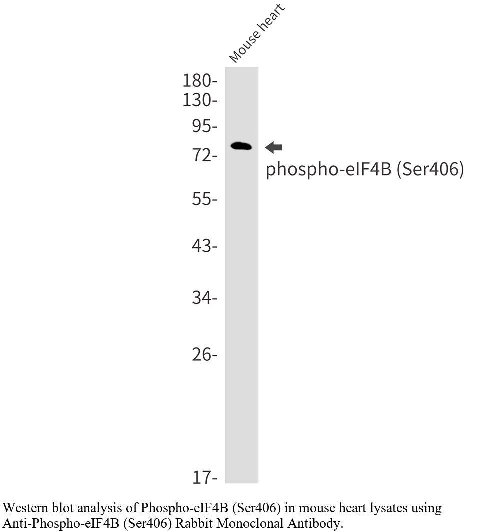 生物相关数据