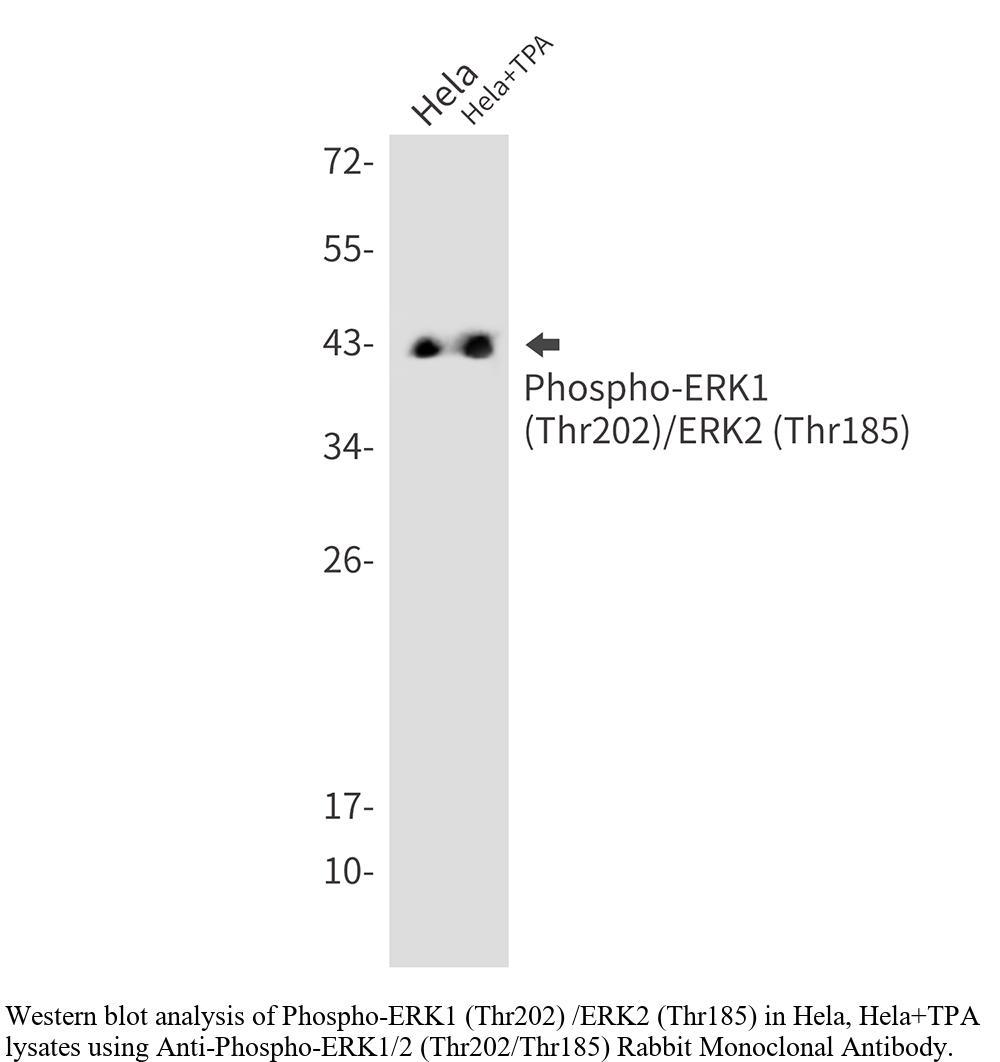 生物相关数据