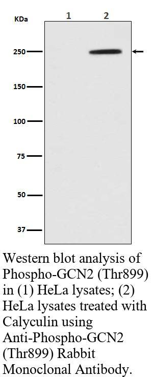 生物相关数据