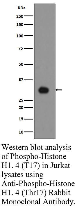 生物相关数据