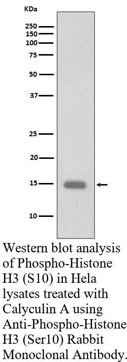生物相关数据