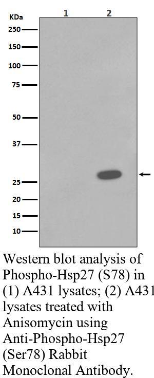 生物相关数据