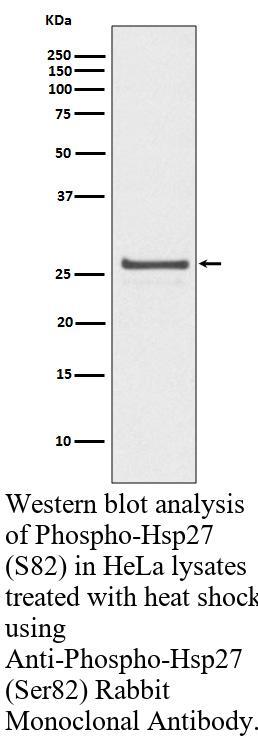 生物相关数据