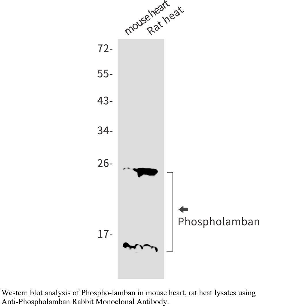 生物相关数据
