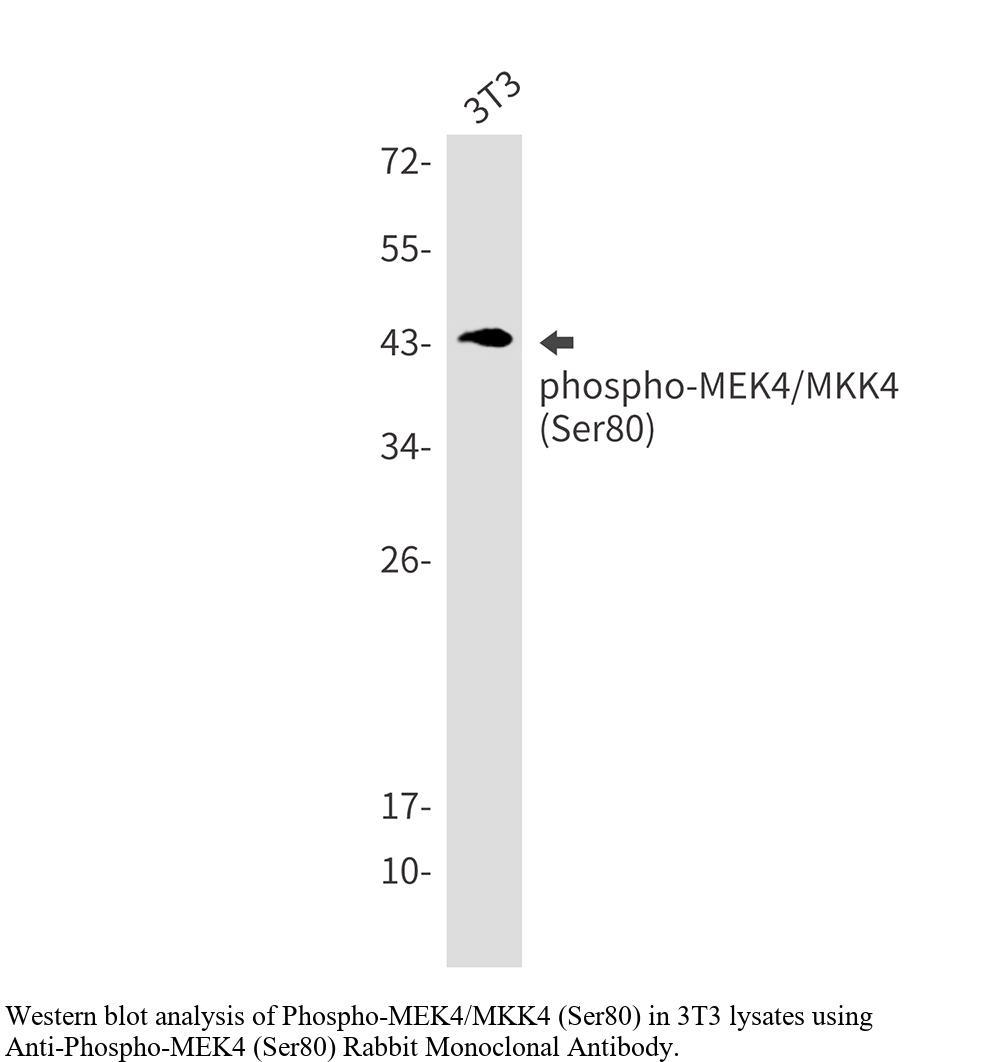 生物相关数据