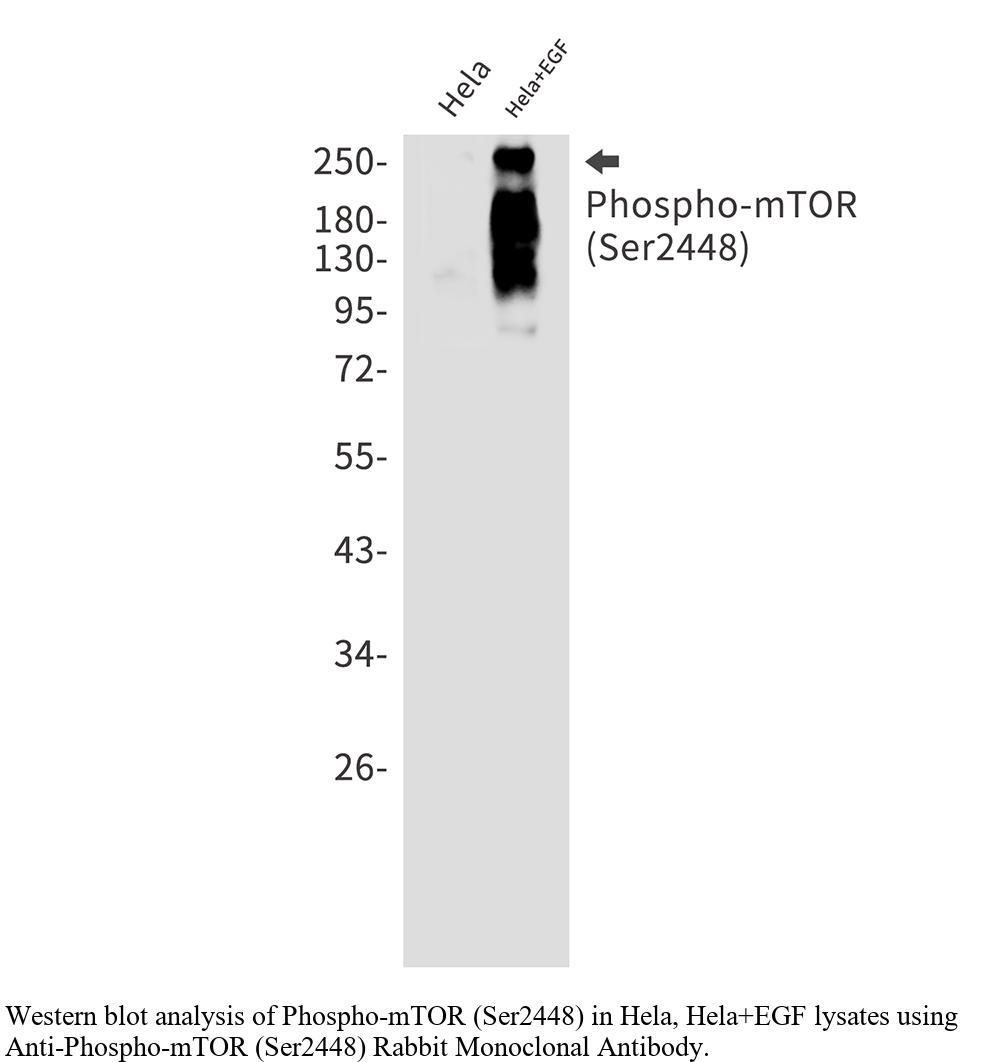 生物相关数据