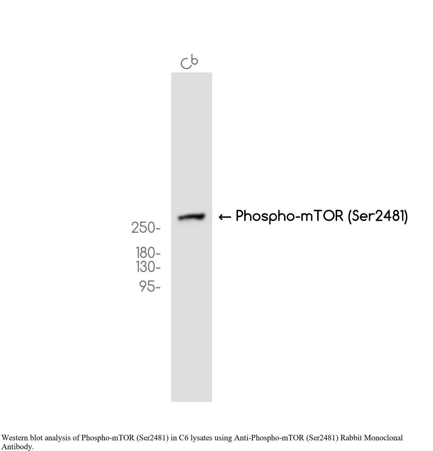 生物相关数据