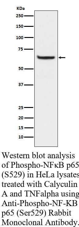 生物相关数据