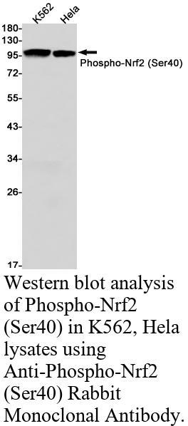 生物相关数据