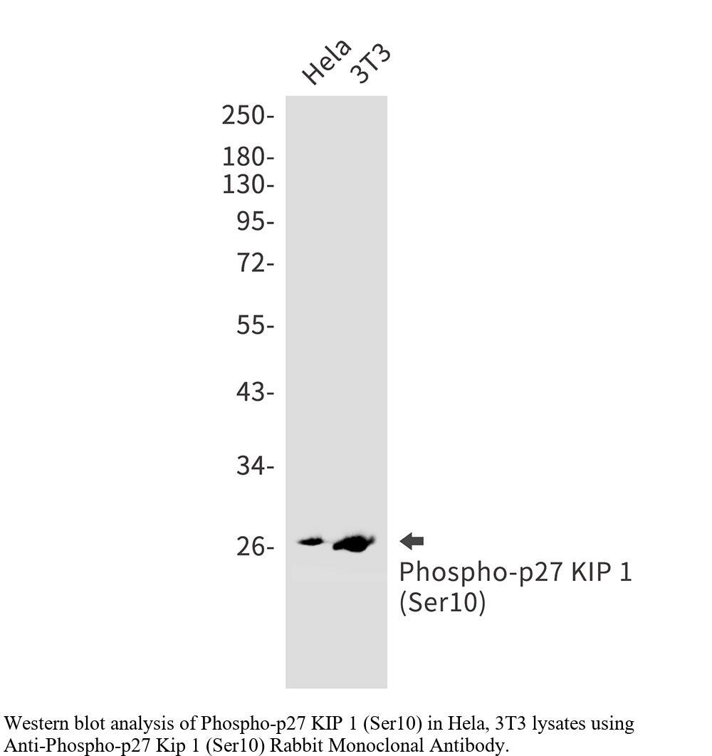 生物相关数据