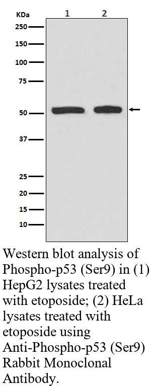生物相关数据