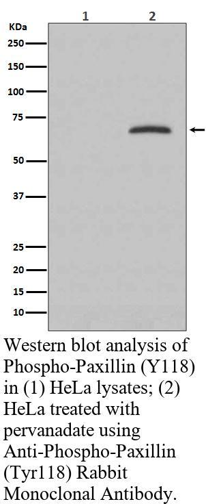 生物相关数据
