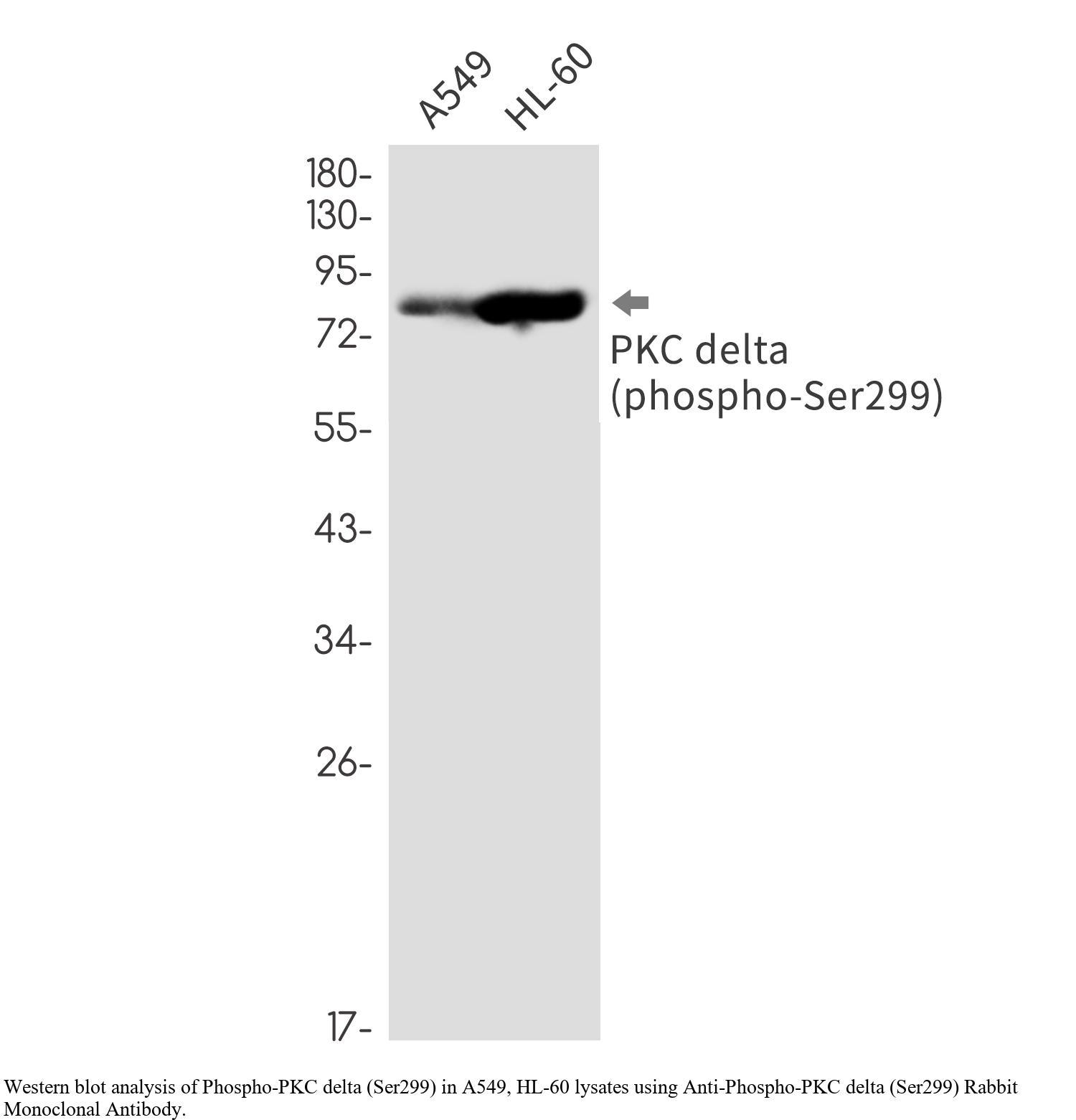 生物相关数据