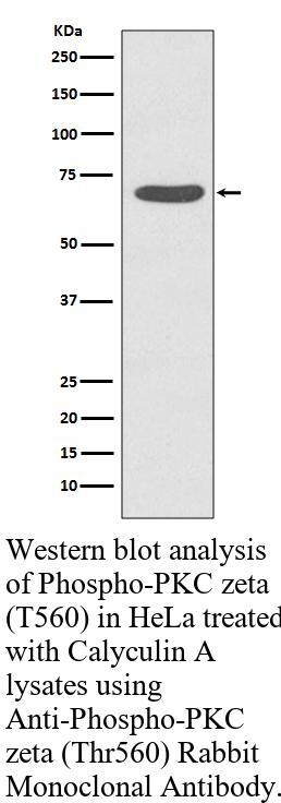 生物相关数据