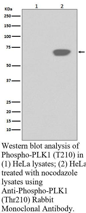 生物相关数据