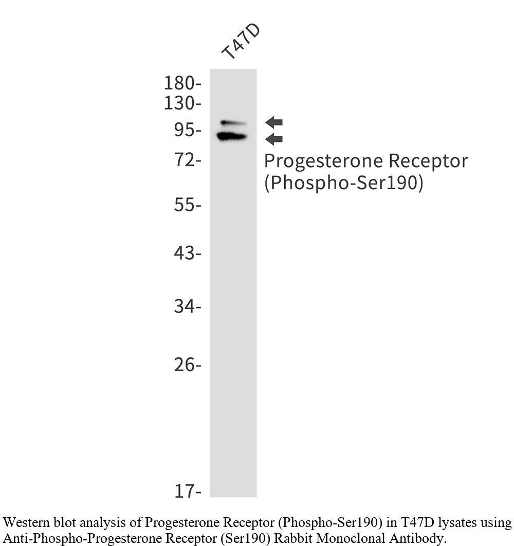 生物相关数据