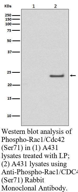 生物相关数据