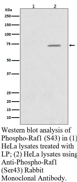 生物相关数据