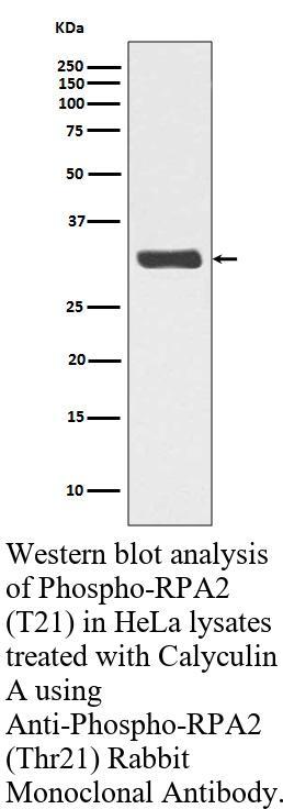 生物相关数据
