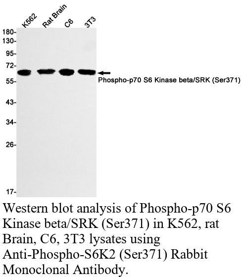 生物相关数据