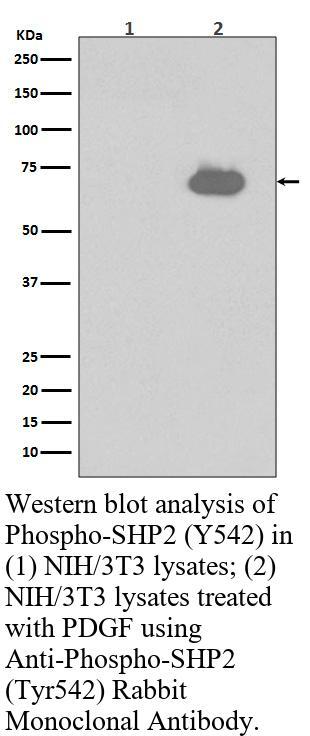 生物相关数据