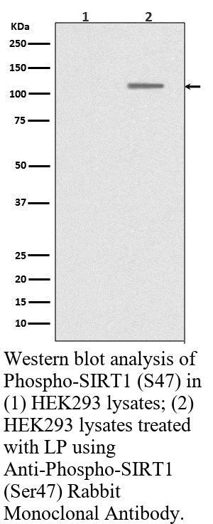 生物相关数据