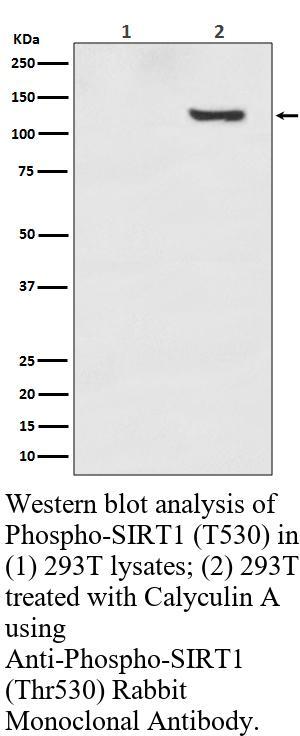 生物相关数据