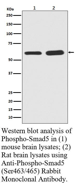 生物相关数据