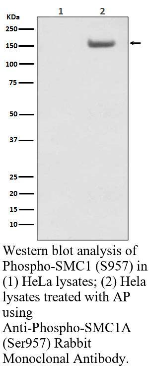 生物相关数据