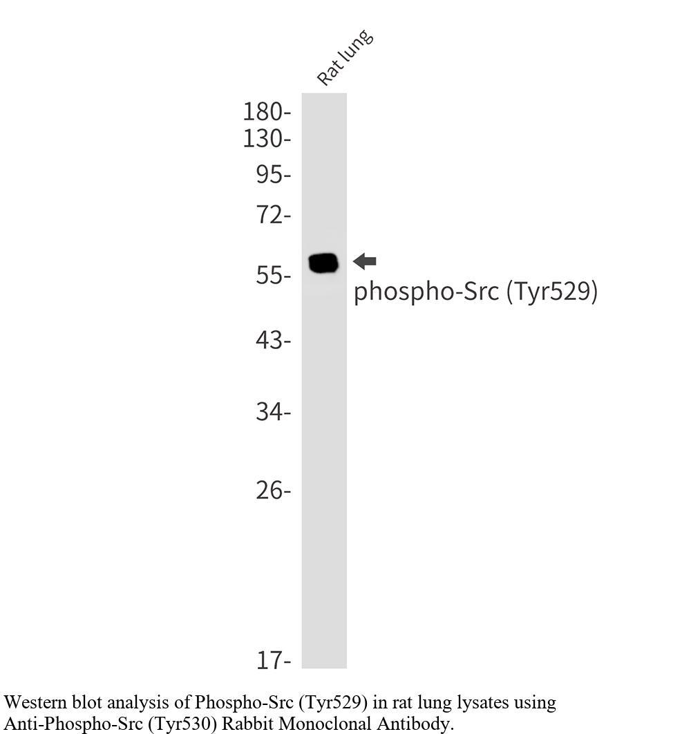 生物相关数据