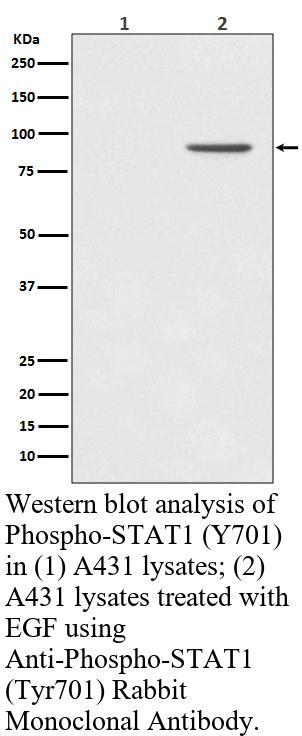 生物相关数据