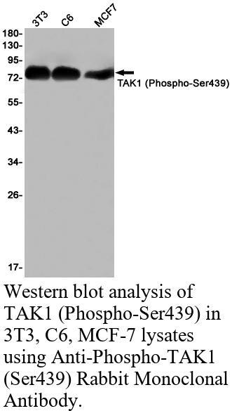 生物相关数据