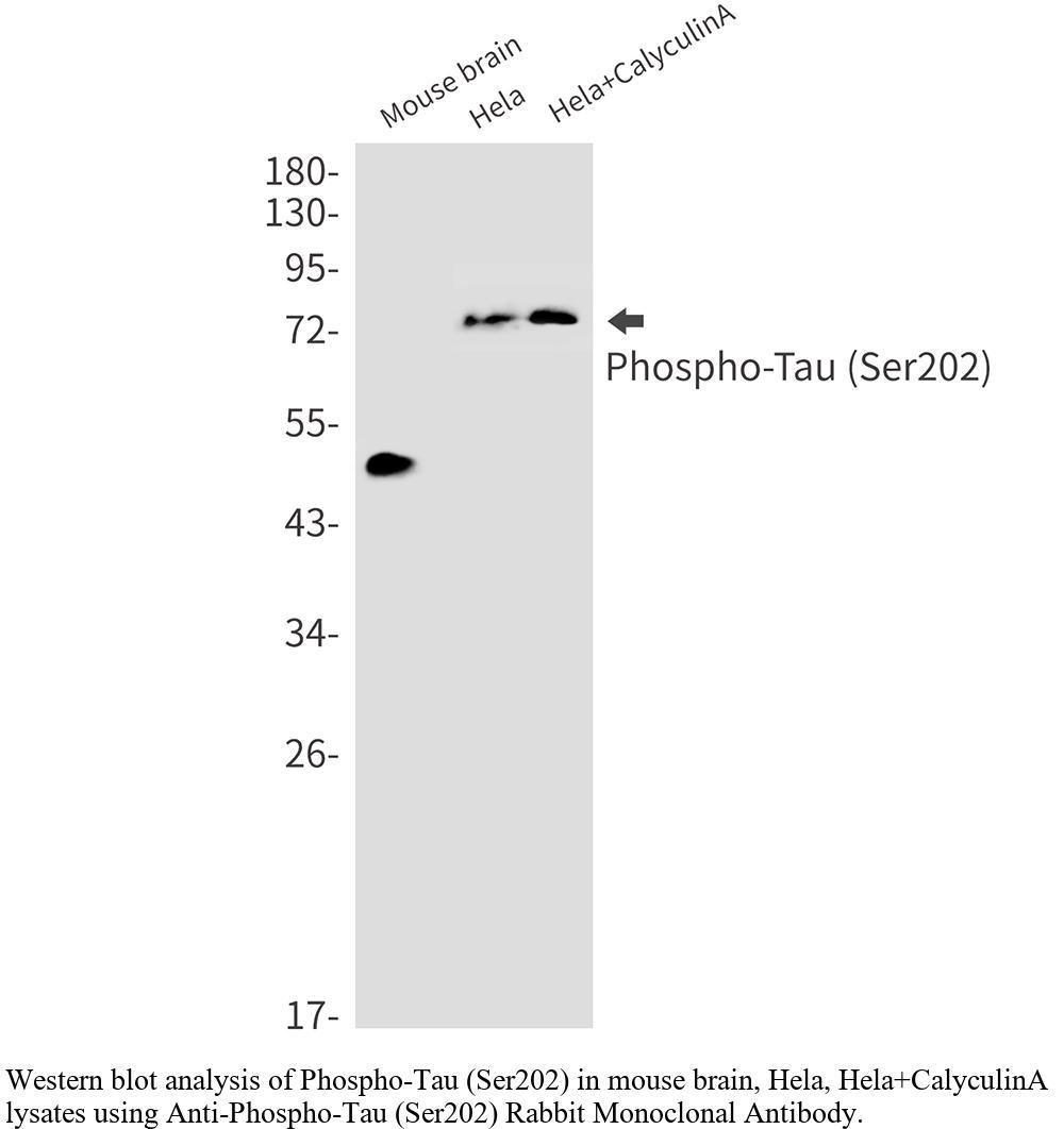 生物相关数据