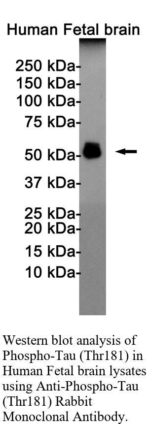 生物相关数据