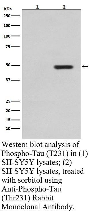 生物相关数据