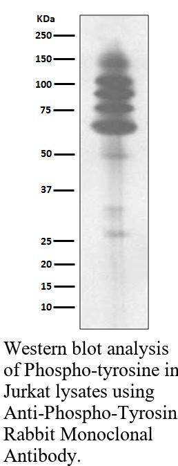 生物相关数据