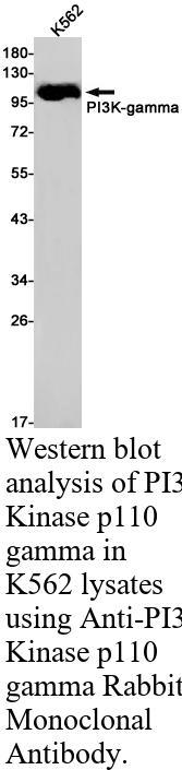 生物相关数据