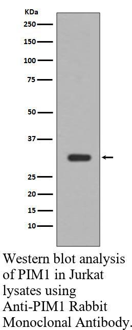 生物相关数据