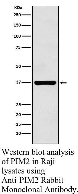 生物相关数据