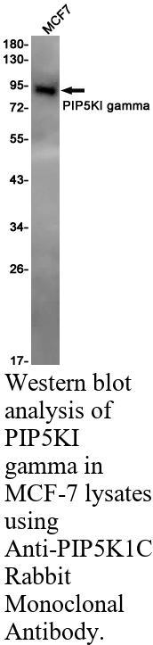 生物相关数据