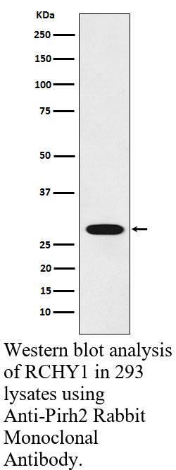 生物相关数据