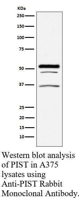生物相关数据