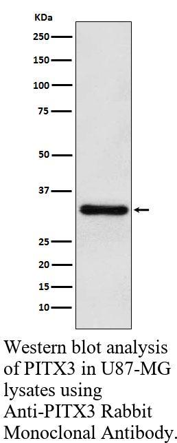 生物相关数据