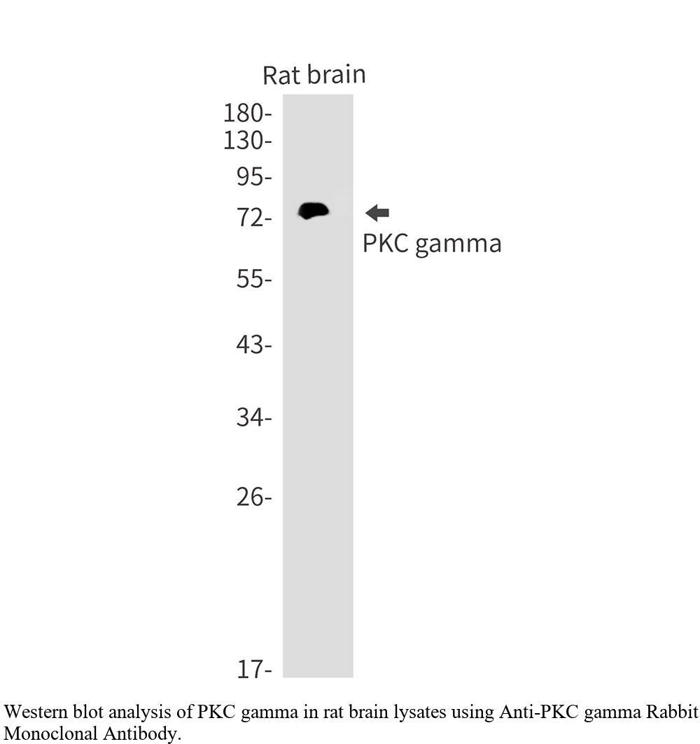 生物相关数据